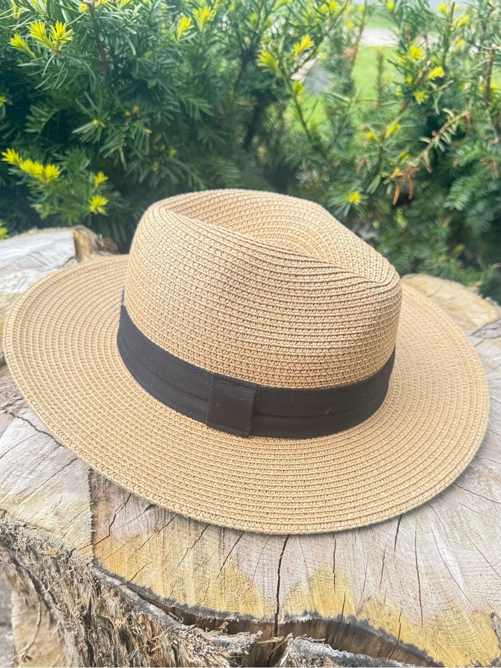 Solar Escape Sun Hat Straw Paper Black Banded
